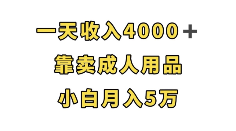 一天收益4000 ，靠卖成人用品，新手轻轻松松月入5万【揭密】-中创网_专注互联网创业,项目资源整合