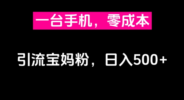 一台手机，零成本引流方法宝妈粉，日入500-中创网_专注互联网创业,项目资源整合