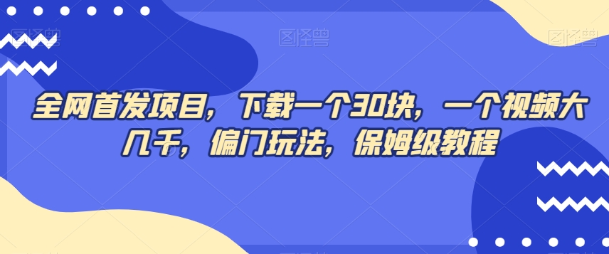 独家首发新项目，下载一个30块，一个视频好几千，冷门游戏玩法，家庭保姆级实例教程-中创网_专注互联网创业,项目资源整合
