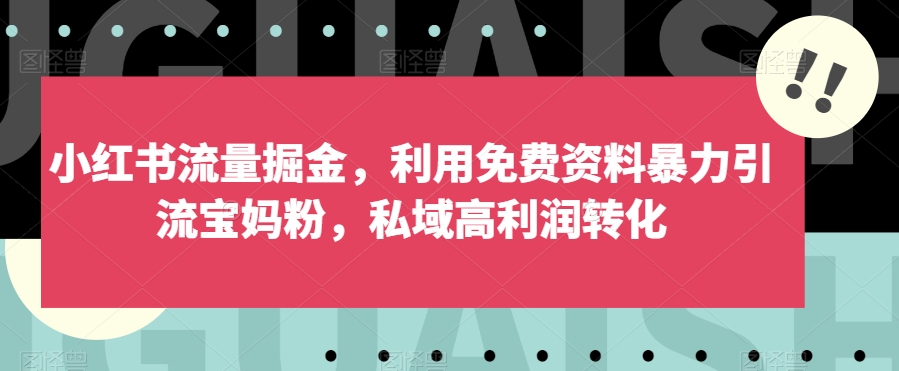小红书的总流量掘金队，运用免费资料大全暴力行为引流方法宝妈粉，公域高收益转换【揭密】-中创网_专注互联网创业,项目资源整合