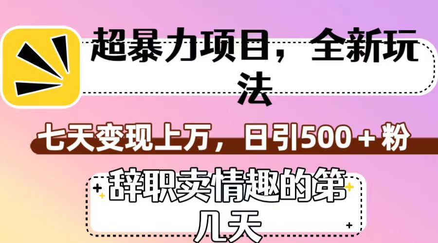 超赚钱项目，全新玩法（离职卖乐趣的什么时间），七天转现过万，日引500 粉-中创网_专注互联网创业,项目资源整合