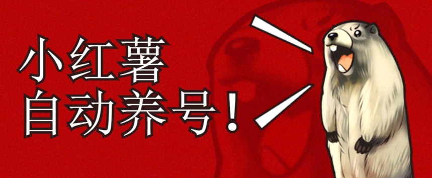 小红书的起号秘笈，如何自动增粉清楚系统软件标识打造出高权重账户【揭密】-中创网_专注互联网创业,项目资源整合