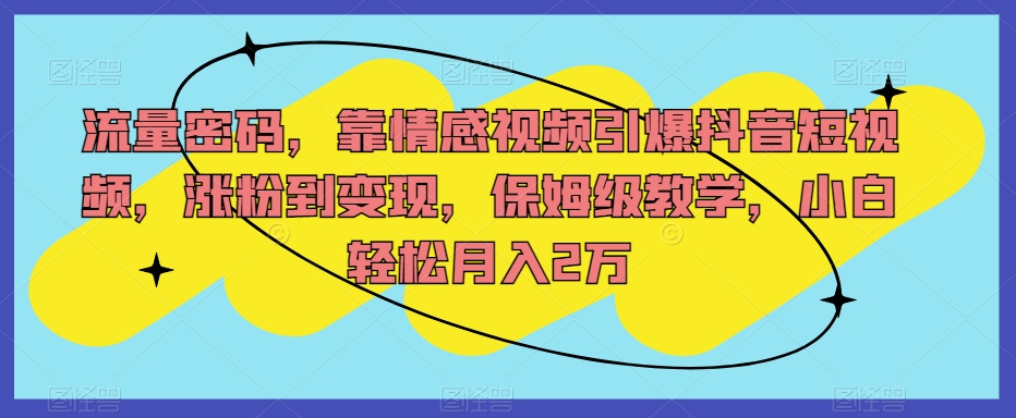 总流量登陆密码，靠短视频点爆抖音小视频，增粉到转现，家庭保姆级课堂教学，新手轻轻松松月入2万【揭密】-中创网_专注互联网创业,项目资源整合