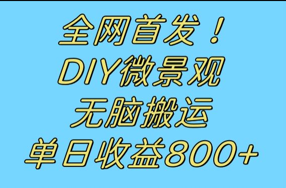独家首发小众跑道！DIY微景观，没脑子搬运视频，日盈利800-中创网_专注互联网创业,项目资源整合