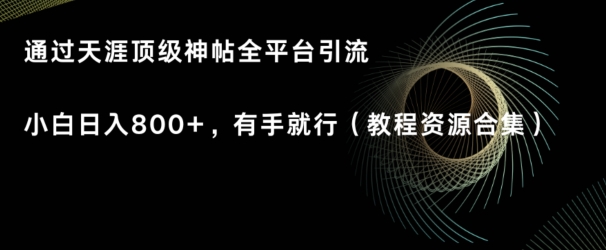 天涯顶级神帖项目，全平台引流小白日入800+，有手就行(内含教程资源合集)-中创网_专注互联网创业,项目资源整合