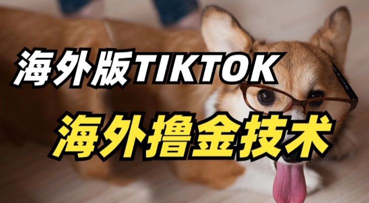 抖音海外版tiktok撸金技术，这个风口行业，赚钱真的不难【揭秘】-中创网_专注互联网创业,项目资源整合