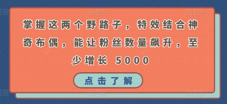 掌握这两个野路子，特效结合神奇布偶，能让粉丝数量飙升，至少增长 5000【揭秘】-中创网_专注互联网创业,项目资源整合