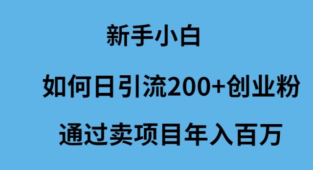 （9668期）新手小白如何日引流200+创业粉通过卖项目年入百万-中创网_专注互联网创业,项目资源整合