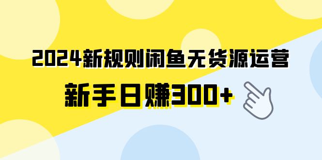 （9522期）2024新规则闲鱼无货源运营新手日赚300+-中创网_专注互联网创业,项目资源整合
