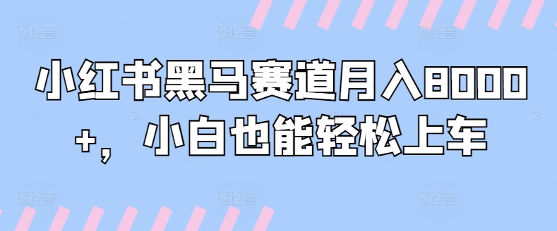 小红书黑马赛道月入8000+，小白也能轻松上车-中创网_专注互联网创业,项目资源整合