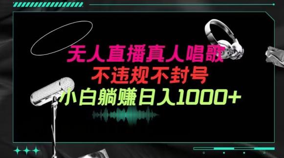 抖音24小时无人直播音乐，不违规，不封号纯撸音浪，小白实操当天日入1000+【揭秘】-中创网_专注互联网创业,项目资源整合