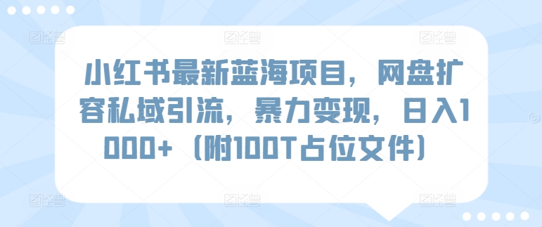小红书最新蓝海项目，网盘扩容私域引流，暴力变现，日入1000+（附100T占位文件）【揭秘】-中创网_专注互联网创业,项目资源整合