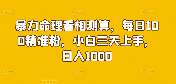 暴力命理看相测算，每日100精准粉，小白三天上手，日入1000-中创网_专注互联网创业,项目资源整合
