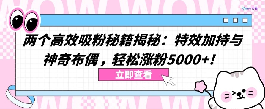 两个高效吸粉秘籍揭秘：特效加持与神奇布偶，轻松涨粉5000+【揭秘】-中创网_专注互联网创业,项目资源整合