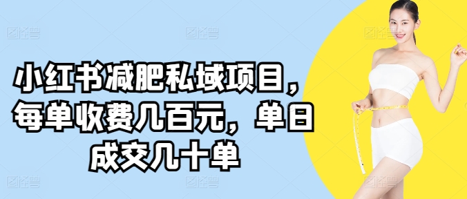 小红书减肥私域项目，每单收费几百元，单日成交几十单-中创网_专注互联网创业,项目资源整合