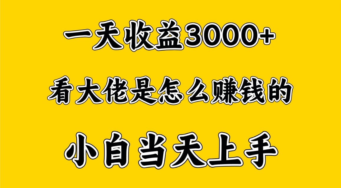一天赚3000多，大佬是那样赚大钱的，新手当日入门，穷人翻身新项目-中创网_专注互联网创业,项目资源整合