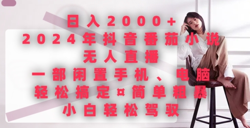 日入2000+，2024年抖音番茄小说无人直播，简单粗暴，小白轻松驾驭-中创网_专注互联网创业,项目资源整合