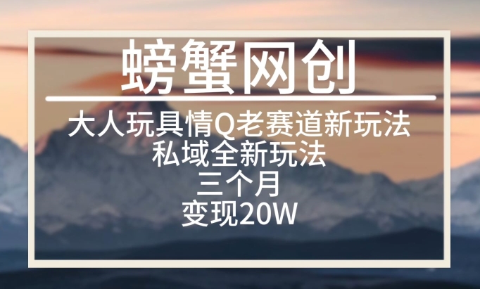 大人玩具情Q用品赛道私域全新玩法，三个月变现20W，老项目新思路【揭秘】-中创网_专注互联网创业,项目资源整合