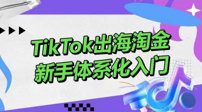 TikTok出海淘金，新手体系化入门，零基础快速入门，掌握短视频、直播带货等引流到变现的知识-中创网_专注互联网创业,项目资源整合