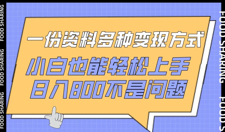 一份资料多种变现方式，小白也能轻松上手，日入800不是问题【揭秘】-中创网_专注互联网创业,项目资源整合