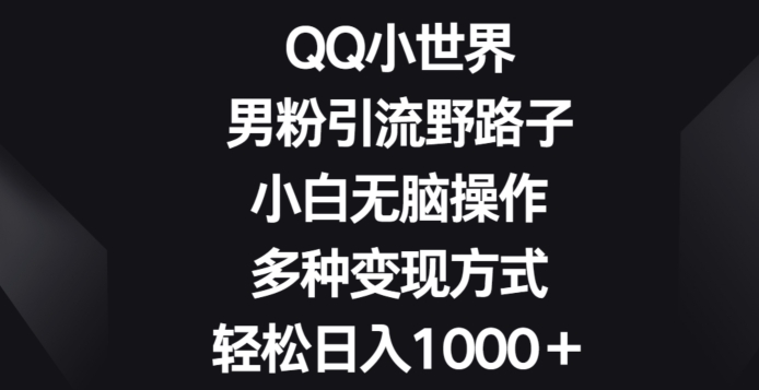 QQ小世界男粉引流野路子，小白无脑操作，多种变现方式轻松日入1000+-中创网_专注互联网创业,项目资源整合