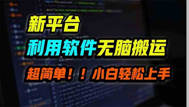 （9745期）新平台用软件无脑搬运，月赚10000+，小白也能轻松上手-中创网_专注互联网创业,项目资源整合