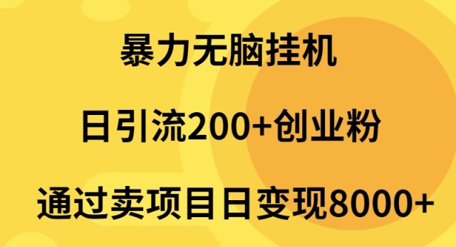 （9788期）暴力行为没脑子放置挂机日引流方法200 自主创业粉根据卖项目日转现2000-中创网_专注互联网创业,项目资源整合