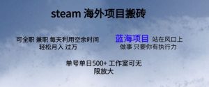 最新投资项目steam打金，运单号日入500-中创网_专注互联网创业,项目资源整合
