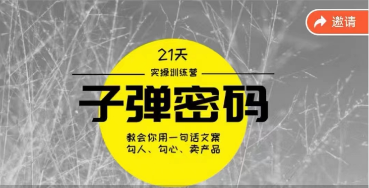 《子弹密码训练营》用一句话文案撩人勾心推销产品，21天学习到顶尖文案高手方案和方法-中创网_专注互联网创业,项目资源整合