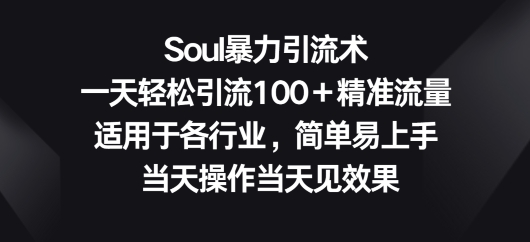 Soul暴力引流术，一天轻松引流100＋精准流量，适用于各行业，简单易上手-中创网_专注互联网创业,项目资源整合