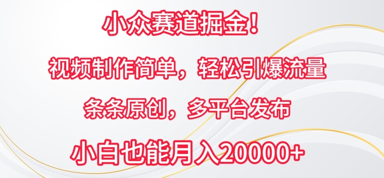 小众赛道掘金，视频制作简单，轻松引爆流量，条条原创，多平台发布【揭秘】-中创网_专注互联网创业,项目资源整合