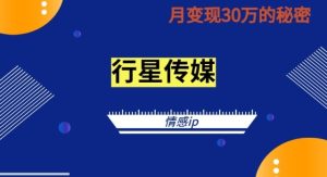 2024抖音情感ip项目单月变现30w的秘密全新蓝海赛道-中创网_专注互联网创业,项目资源整合