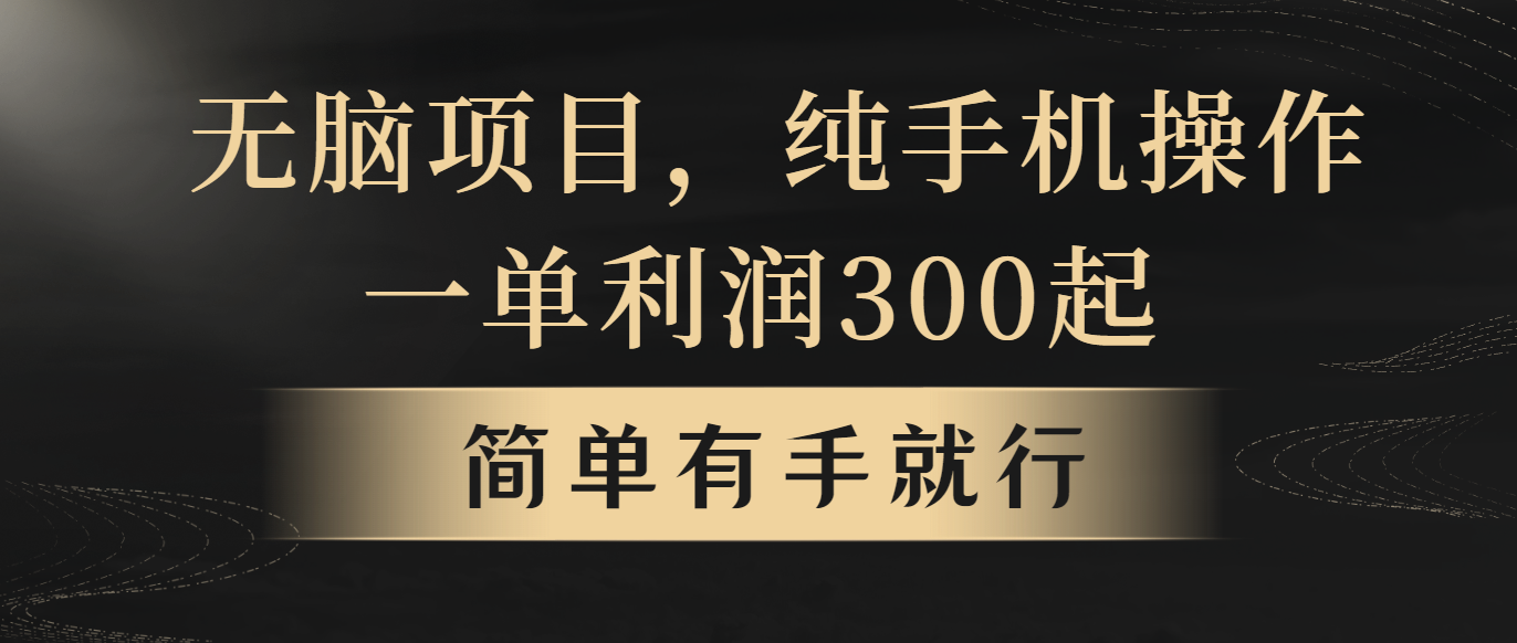 （10589期）没脑子新项目，一单几百元，轻轻松松月入5w ，看了就可以直接实际操作-中创网_专注互联网创业,项目资源整合
