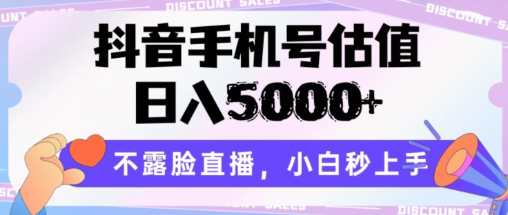 抖音手机号公司估值，日入5000 ，不露脸直播，新手秒入门【揭密】-中创网_专注互联网创业,项目资源整合