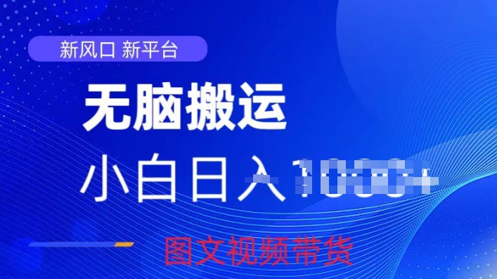 京东视频图文搬运带货项目，蓝海赛道小白轻松上手，每天一小时轻松获取收益-中创网_专注互联网创业,项目资源整合