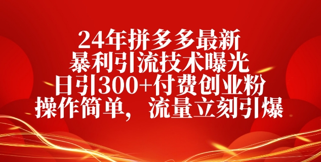 24年拼多多最新爆利引流技术曝出，日引300 付钱自主创业粉，使用方便，总流量马上点爆-中创网_专注互联网创业,项目资源整合