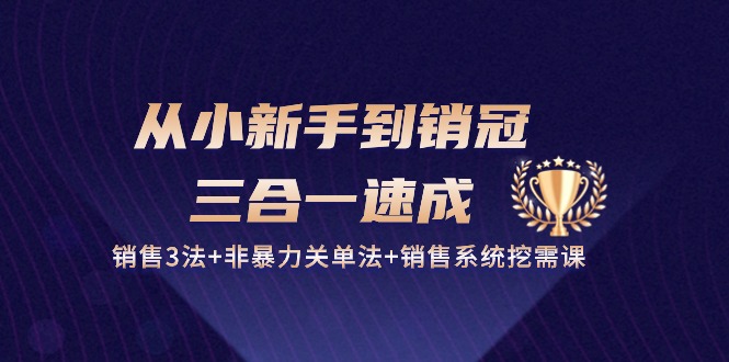 从小新手到销冠三合一速成：销售3法+非暴力关单法+销售系统挖需课 (27节)-中创网_专注互联网创业,项目资源整合