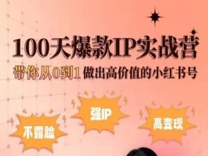 小红书的100天爆品IP实战营，陪你从0到1作出高颜值的小红书号-中创网_专注互联网创业,项目资源整合