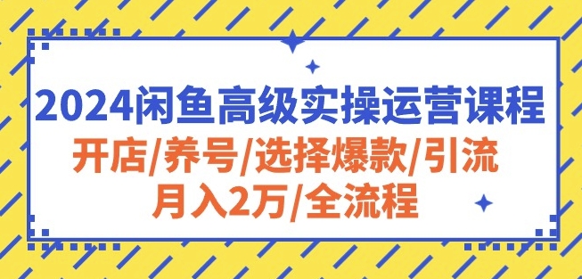 2024闲鱼高级实操运营课程：开店/养号/选择爆款/引流/月入2万/全流程-中创网_专注互联网创业,项目资源整合