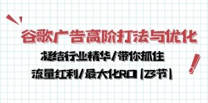 （10287期）谷歌广告高阶打法与优化，凝结行业精华/带你抓住流量红利/最大化ROI(23节)-中创网_专注互联网创业,项目资源整合