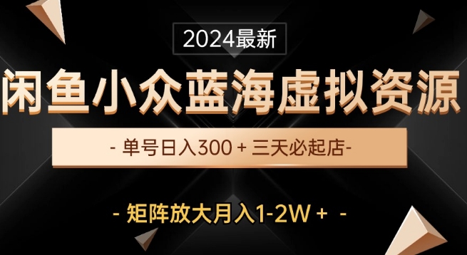 全新闲鱼平台冷门瀚海虚拟资源项目，运单号日入300 ，三天必出单，引流矩阵变大月入1-2W-中创网_专注互联网创业,项目资源整合