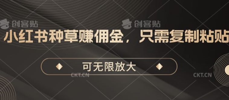 小红书种草手机赚钱，仅需拷贝，可放大化-中创网_专注互联网创业,项目资源整合