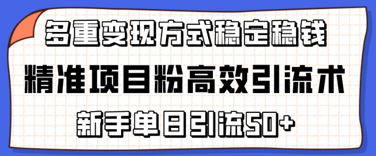 精确新项目粉高效率引流术，初学者单日引流方法50 ，多种变现模式稳定赚钱【揭密】-中创网_专注互联网创业,项目资源整合