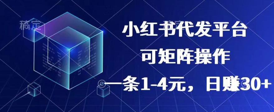【小红书的 抖音视频】代发平台，一条1~4元，日赚30 的可靠小程序，可引流矩阵实际操作-中创网_专注互联网创业,项目资源整合