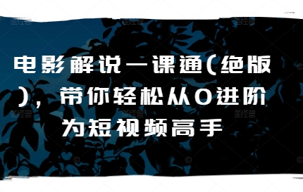 影视解说一课通(稀有)，陪你轻轻松松从0升阶为短视频高手-中创网_专注互联网创业,项目资源整合