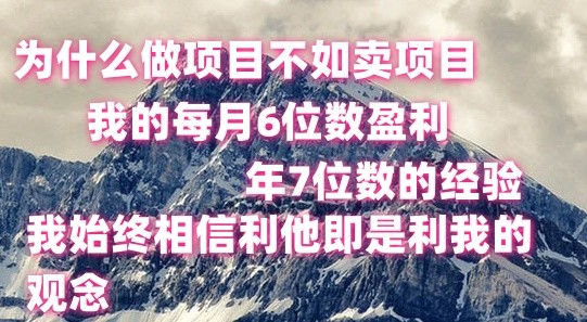 做项目不如卖项目，每月6位数盈利，年7位数经验-中创网_专注互联网创业,项目资源整合