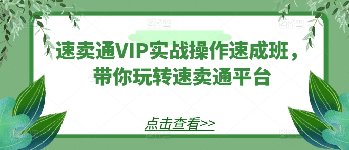 全球速卖通VIP实战操作短期培训班，带你玩转速卖通平台-中创网_专注互联网创业,项目资源整合