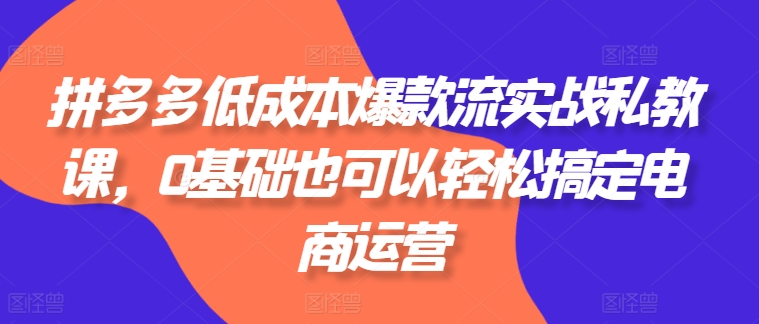 拼多多平台降低成本爆品流实战演练私教，0基本还可以轻松解决网店运营-中创网_专注互联网创业,项目资源整合