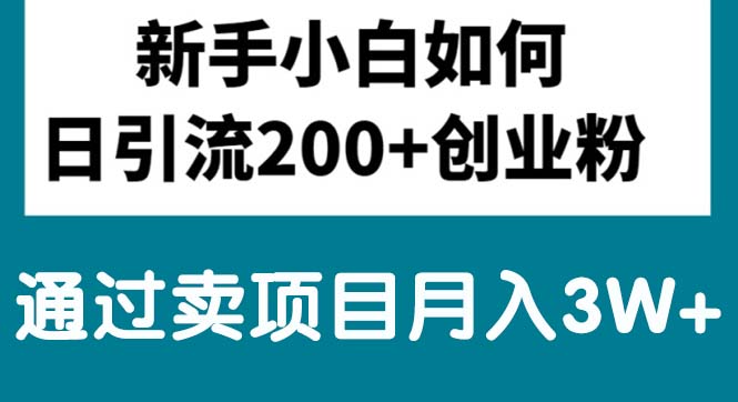 （10843期）新手入门日引流方法200 自主创业粉,根据卖项目月入3W-中创网_专注互联网创业,项目资源整合