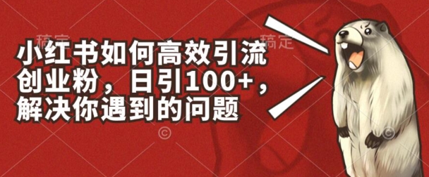 小红书的如何有效引流方法自主创业粉，日引100 ，解决你遇到的困难【揭密】-中创网_专注互联网创业,项目资源整合
